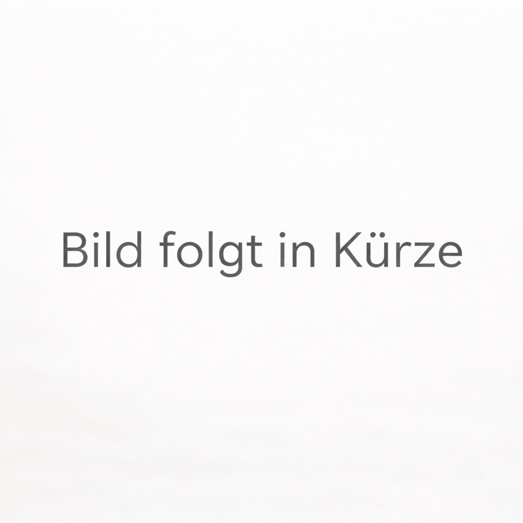 Torflügel System GFG mit Doppelstabgitter